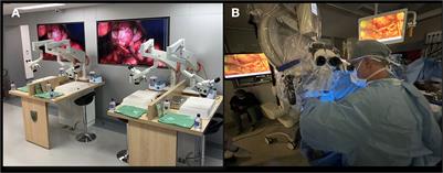 The art of combining neuroanatomy and microsurgical skills in modern neurosurgery